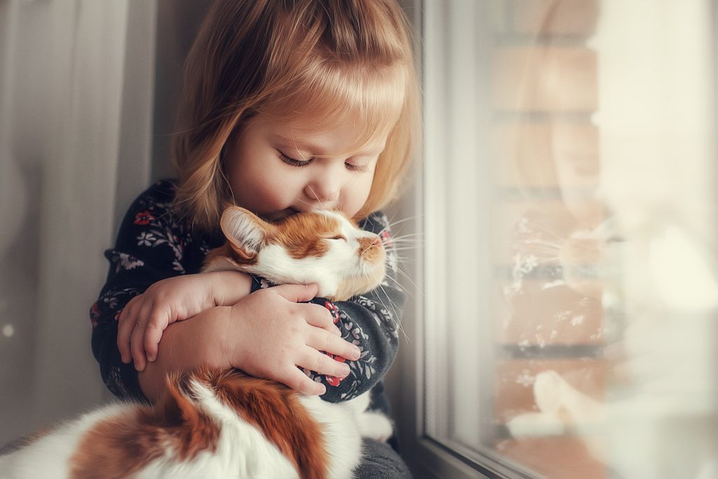Kleines blondes Mädchen sitzt am Fenster und umarmt ihre Katze.