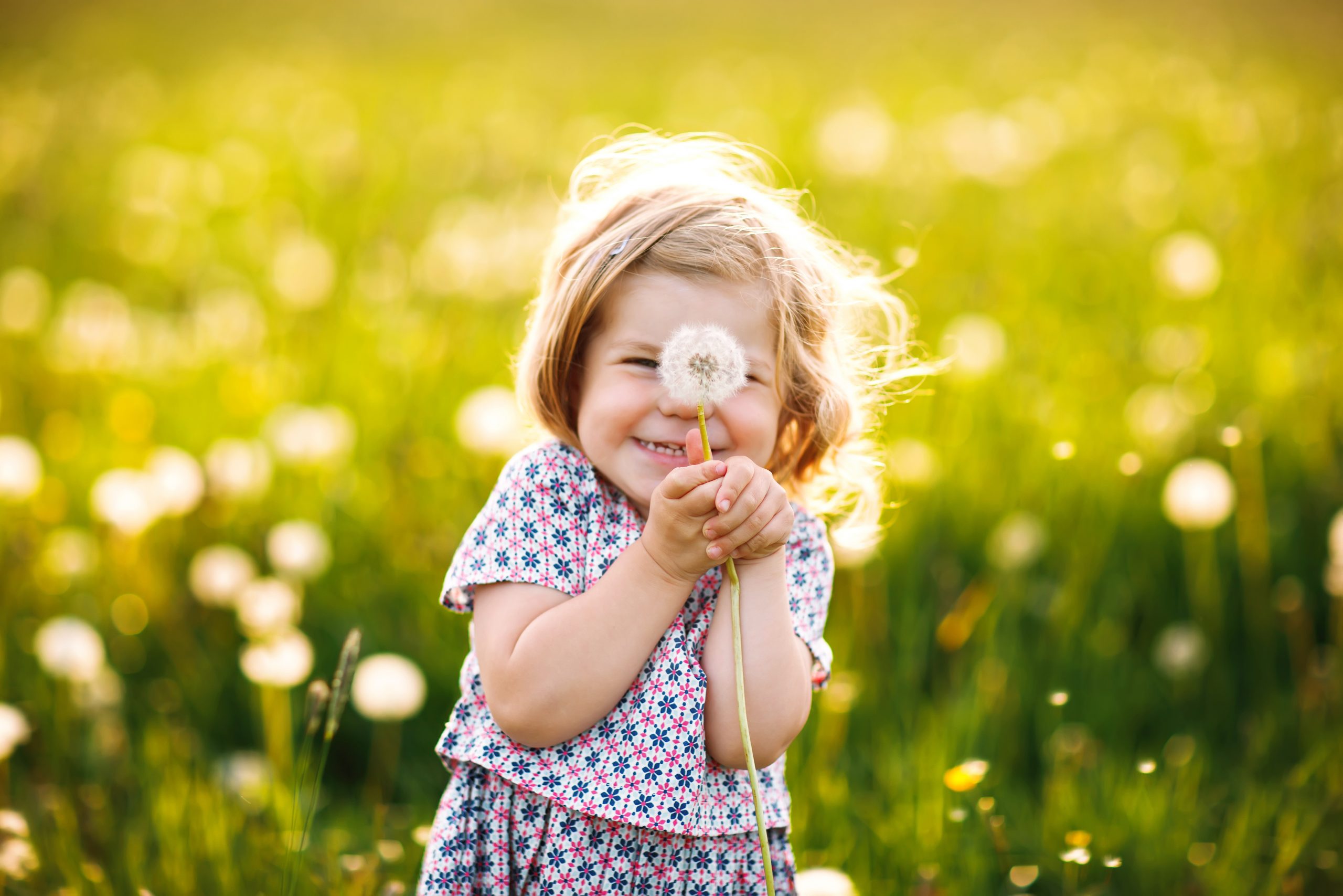 Kleines Mädchen im Kleid steht auf einer Sommerwiese mit Pusteblume in der Hand.